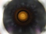 Perazzi MX-14 Trap Combo 12 Ga 31.5