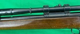 C&R WINCHESTER MODEL 43 22 HORNET VARMINT COLLECTOR - Image 21 of 24