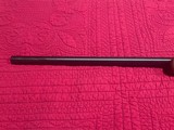 NIB-discontinued CZ 527 Varmint - 7 of 9