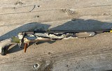 Browning x bolt speed 308 Winchester - 6 of 10