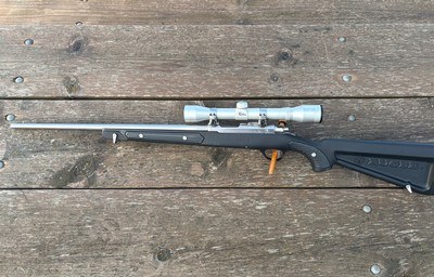 Ruger 22 mag paddle stock - Image 4 of 8