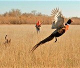 ZOLI "Z EXPEDITION CUSTOM "ONE OF A KIND" ALL FIELD/SPORT" ~ 12 GA ~ 30" - 15 of 15