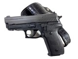 SIG SAUER P229 - .40 /.357 CAL W/ CUSTOM BLACK ALLIGATOR HOLSTER - Image 1 of 10