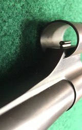 P.L. Holehan Safari grade hunter - 10 of 20