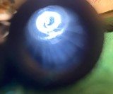 Winchester 94 trapper in 44 magnum - 9 of 17