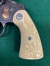 Colt New Service 45LC with engraving - 18 of 20