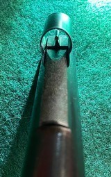 Winchester 70 Pre-64 in .375 H & H - 19 of 20