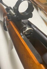 Ruger 77/22 in .22 Hornet - 12 of 18