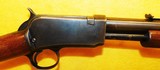 WINCHESTER 1906 - 3 of 8