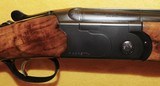 BERETTA ORVICE UPLANDER - 3 of 8