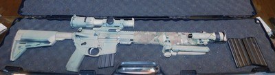 S&W M&P15 (NO-MASS-SALES) - Image 1 of 8