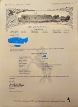 COLT VIPER NICKEL 1977 WITH ARCHIVES LETTER - 8 of 8