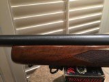 Winchester Model 70 Pre. 64 Target Rifle .243 Caliber - 13 of 14