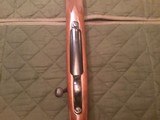 Remington Model 700 classic 257 Robert’s 24” barrel - 7 of 12