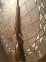 Browning Belgium Safari .222 Magnum - 9 of 15