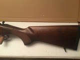 CZ 550 Varmint 22-250 - 5 of 15