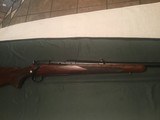 Winchester Model 70 Pre-64 caliber 270 Winchester - 6 of 15