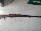 Remington Mosin Nagant - 1 of 5