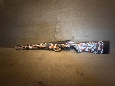 Ruger PC Carbine Takedown - Image 1 of 6