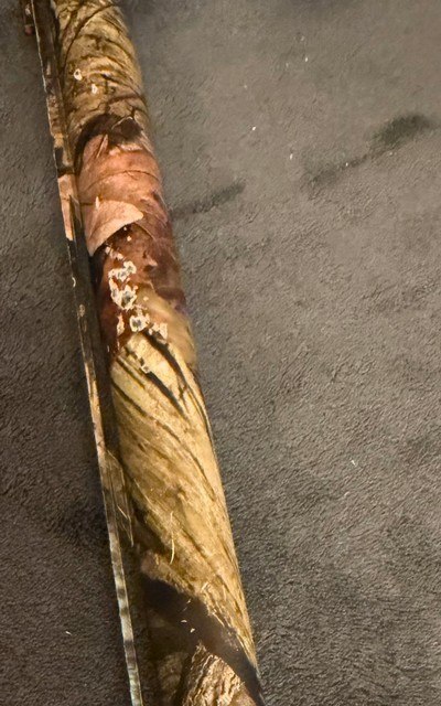 Browning A5 Camo - Image 13 of 14