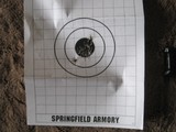 Springfield Armory Hellcat 9MM semi-auto pistol - 9 of 15