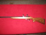 RUGER 10- 22 IN .22 MAG. - 7 of 11
