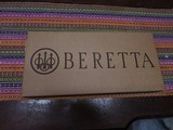 BERETTA STAMPEDE - 11 of 12