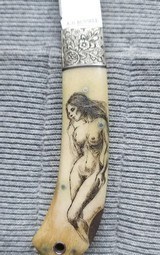 Exotic gentleman folder - 4 of 7