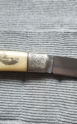 Exotic gentleman folder - 5 of 7