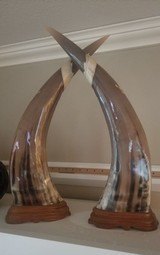 Hand carved buffalo horn set - 1 of 5
