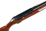 Ruger 10/22 Semi Rifle .22 lr - 3 of 11