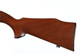 Ruger 10/22 Semi Rifle .22 lr - 10 of 11