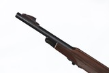 Remington Nylon 66 .22lr - 12 of 13