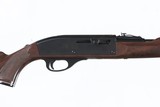 Remington Nylon 66 .22lr - 1 of 13