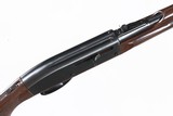 Remington Nylon 66 .22lr - 3 of 13