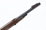 Remington Nylon 66 .22lr - 11 of 13