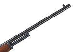 Marlin 1894 CL .25-20 Excellent - 10 of 12