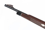 Remington Nylon 66 .22 lr Nice - 10 of 10