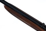 Browning SA-22 Semi Rifle .22 short - 18 of 18