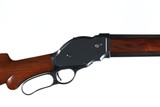 Winchester 1901 Lever Shotgun 10ga - 6 of 13