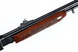 Remington 572 Fieldmaster Slide Rifle .22 SLLR - 7 of 12