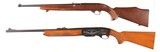 Matched Pair of Remington & Ruger Semi Rifles .308 win / .22 lr - 10 of 14