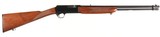Browning BAR Semi Rifle .22 lr - 6 of 13