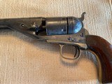 colt - 6 of 9