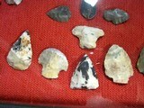 Indian Arrowheads Native American Points Relics North Carolina #1A - 8 of 8