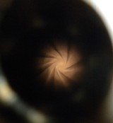 Vintage Getz Black Powder Flint Lock Percussion 50cal Barrel Blank - 1 of 7