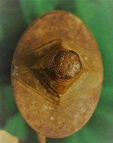 RELIC SWORD BLADE - 11 of 12