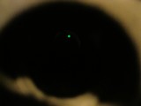 Red/Green Dot Rifle Scope Off AR15 - 2 of 11