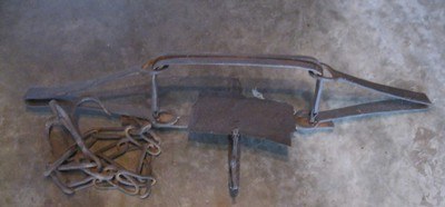 Antique Bear Trap with Chain & Hook