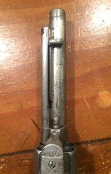 Colt single action nickel
SAA 1883 .45 rare 5 1/2 barrel - 11 of 15